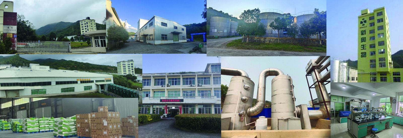 اسیدهای چرب با زنجیره کوتاه بوتیرات