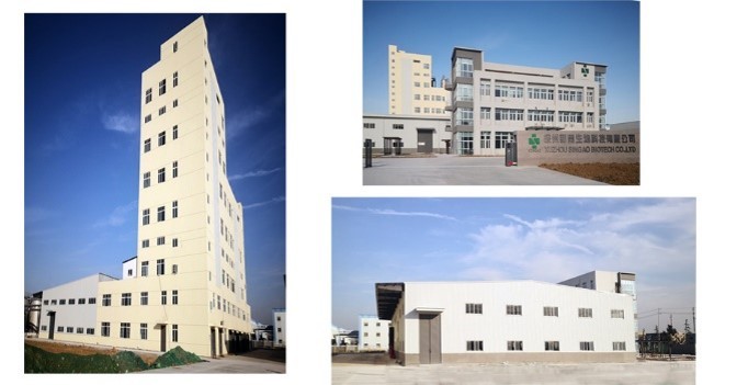 Singao (Xiamen) Agribusiness Development Co., Ltd. خط تولید کارخانه