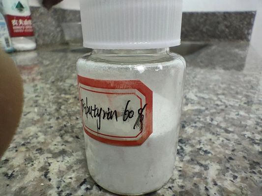 حداقل 60 درصد تریبوتیرین پودر برای رشد خوک