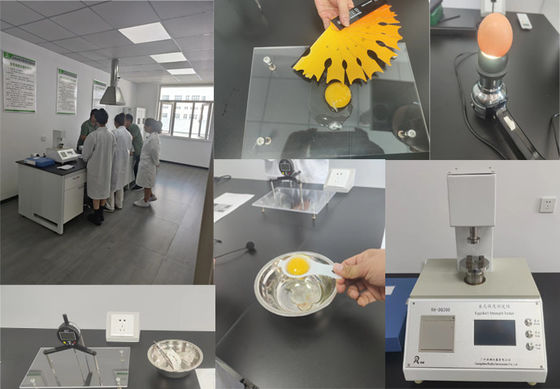 دانه های شکل گلوله ای مایکروکپسول شده بوتیرات سدیم 90٪ برای حیوانات خانگی