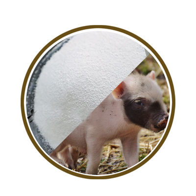 Slow Release 70% Coated Calcium Butyrate 55% CAS 5743-36-2 plus sodium butyrate 15% for aqua